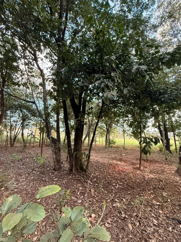 Terreno, 1000 m² - Foto 5