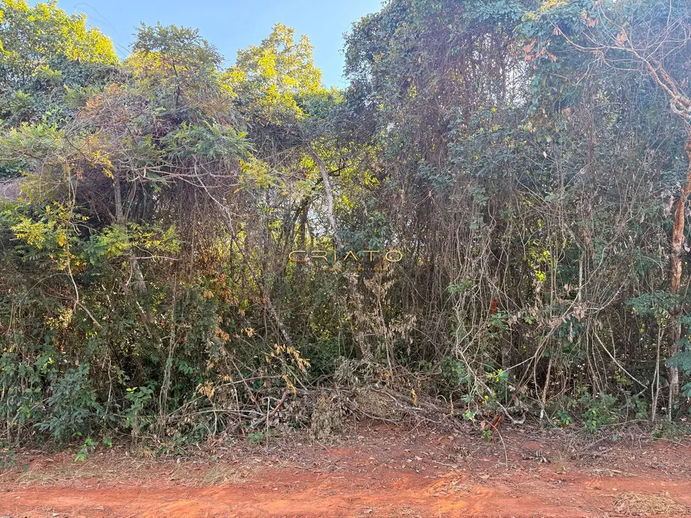 Terreno, 1000 m² - Foto 6