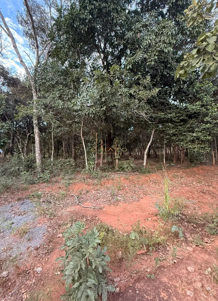 Terreno, 1000 m² - Foto 1