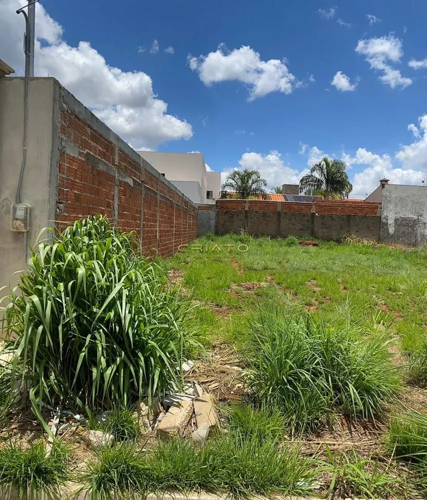 Terreno, 300 m² - Foto 3