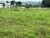 Terreno, 2079 m² - Foto 5