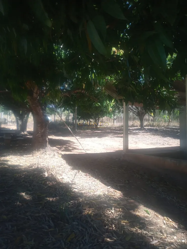 Chácara, 2 quartos, 10 hectares - Foto 9