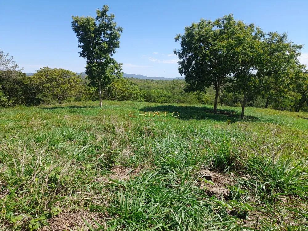 Fazenda, 145 hectares - Foto 3
