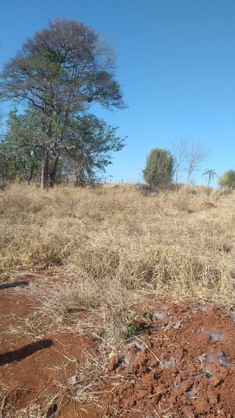 Fazenda à venda com 2 quartos, 620000m² - Foto 4