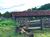 Fazenda, 97 hectares - Foto 1