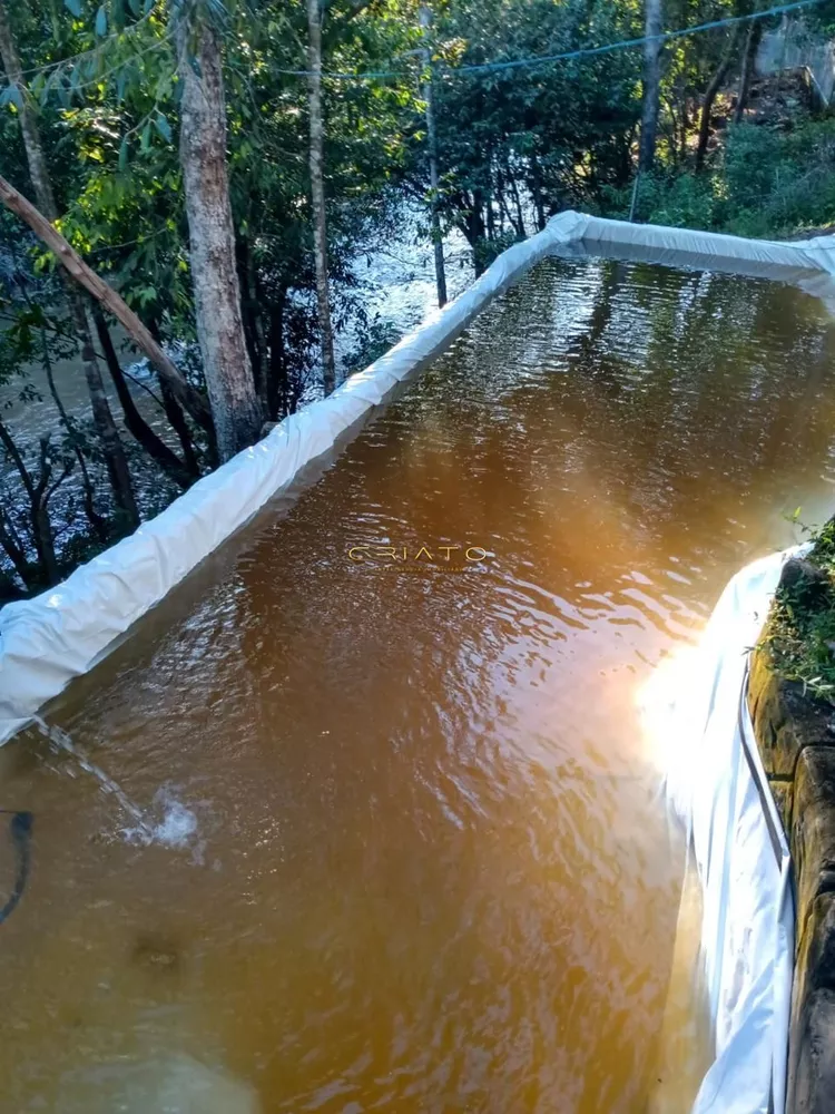 Fazenda à venda com 4 quartos, 5000m² - Foto 4