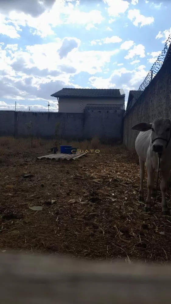 Terreno à venda, 200m² - Foto 3