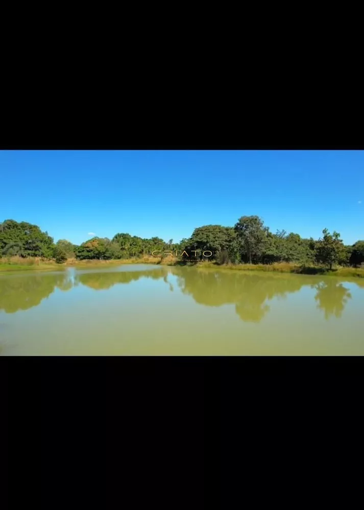 Fazenda à venda com 4 quartos, 2226400m² - Foto 3