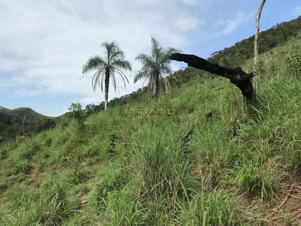 Fazenda à venda com 2 quartos, 80m² - Foto 16