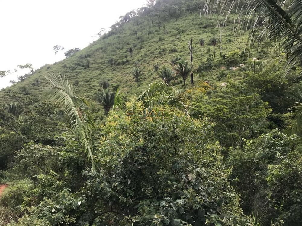 Fazenda à venda com 2 quartos, 80m² - Foto 13