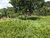 Fazenda-Sítio-Chácara, 585 m² - Foto 8