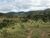 Fazenda-Sítio-Chácara, 585 m² - Foto 10