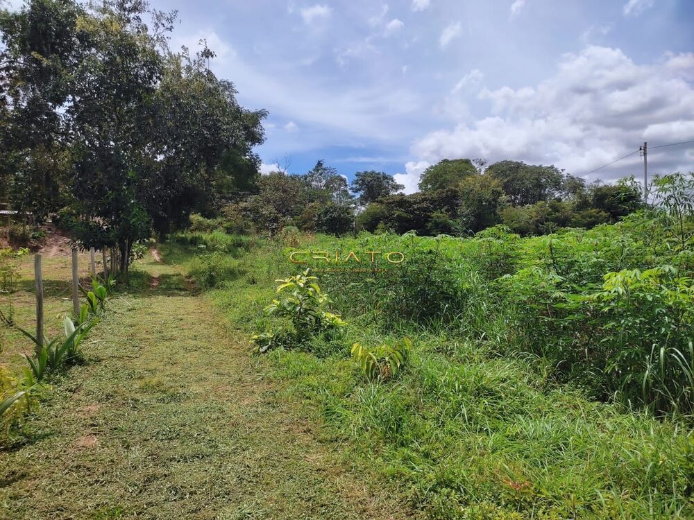 Chácara à venda com 2 quartos, 5000m² - Foto 4