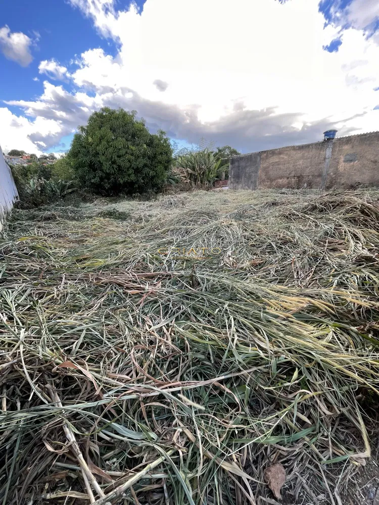 Terreno, 1100 m² - Foto 8