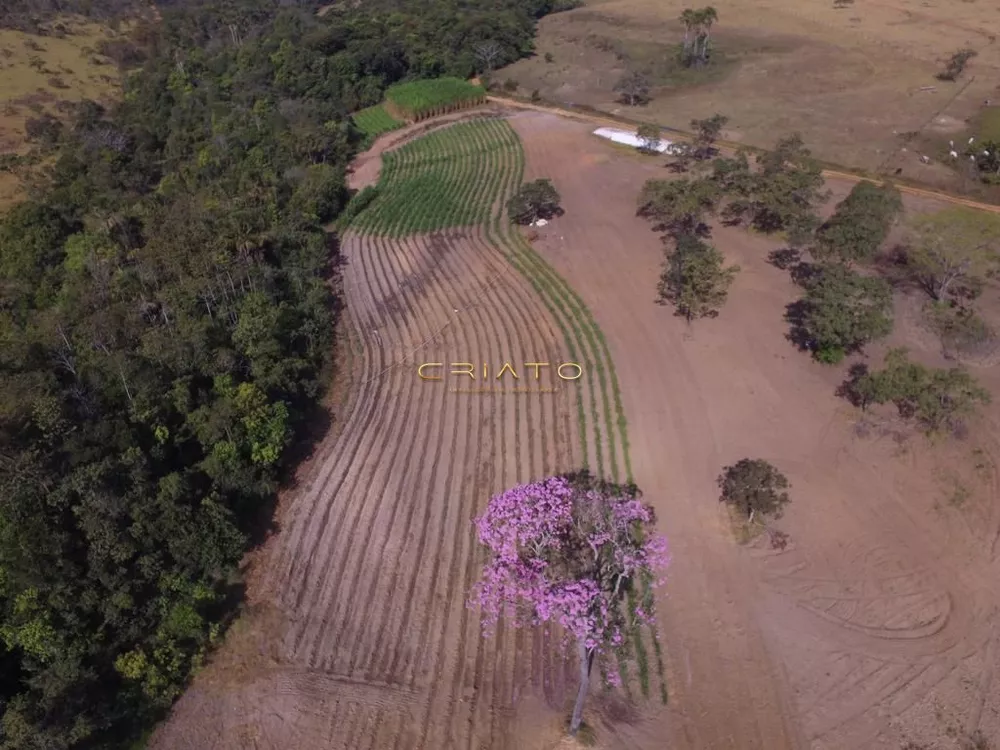 Fazenda à venda com 2 quartos, 870000m² - Foto 5