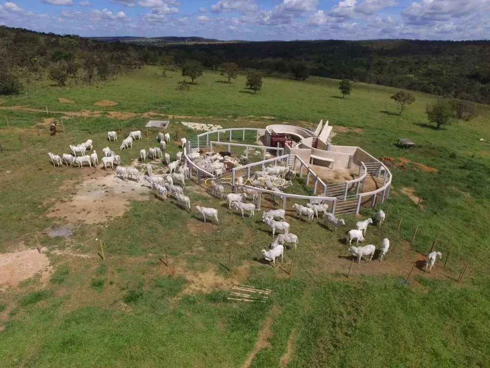 Fazenda à venda com 2 quartos, 870000m² - Foto 6