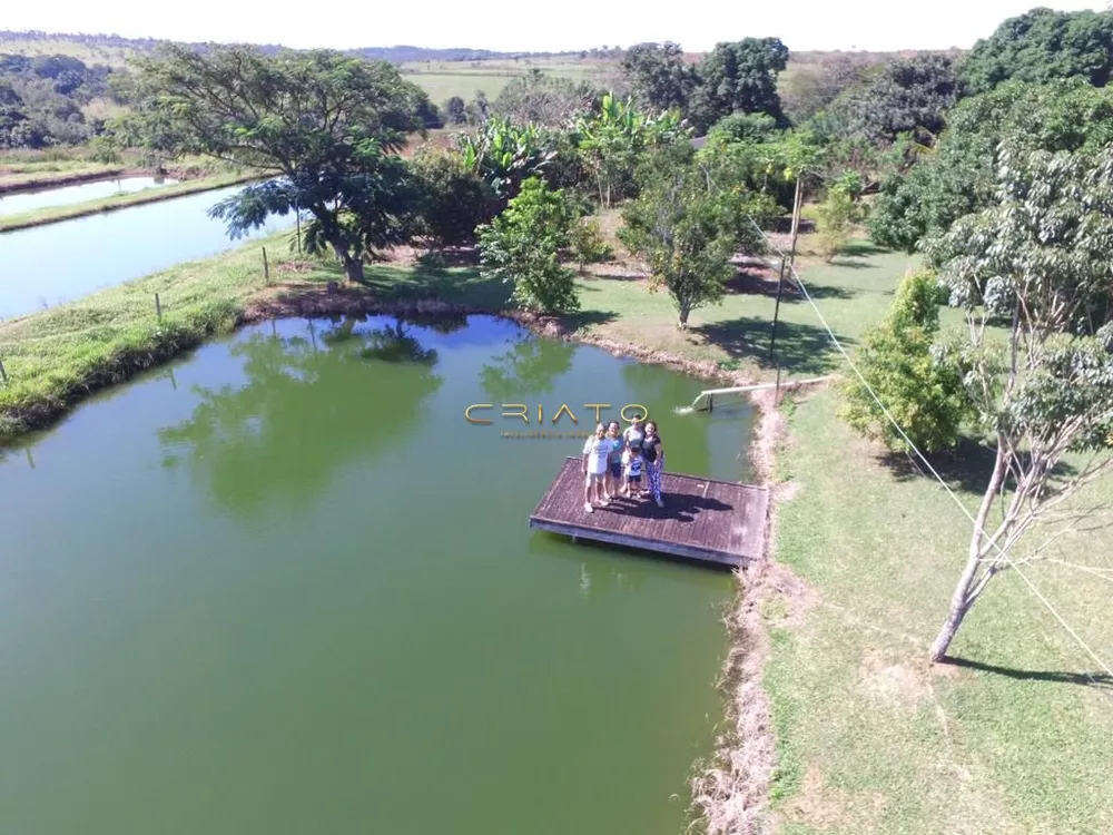 Fazenda à venda com 2 quartos, 870000m² - Foto 4