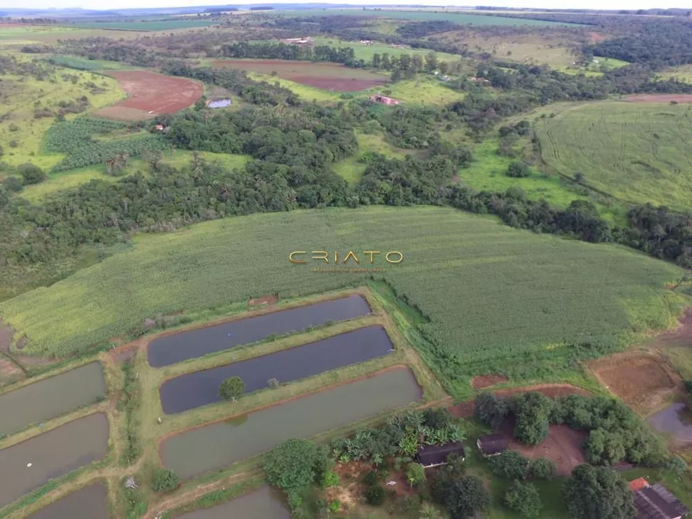 Fazenda à venda com 2 quartos, 870000m² - Foto 3