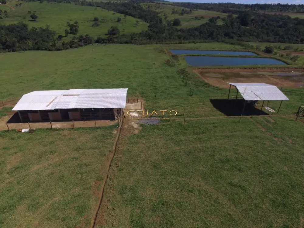 Fazenda à venda com 2 quartos, 870000m² - Foto 2