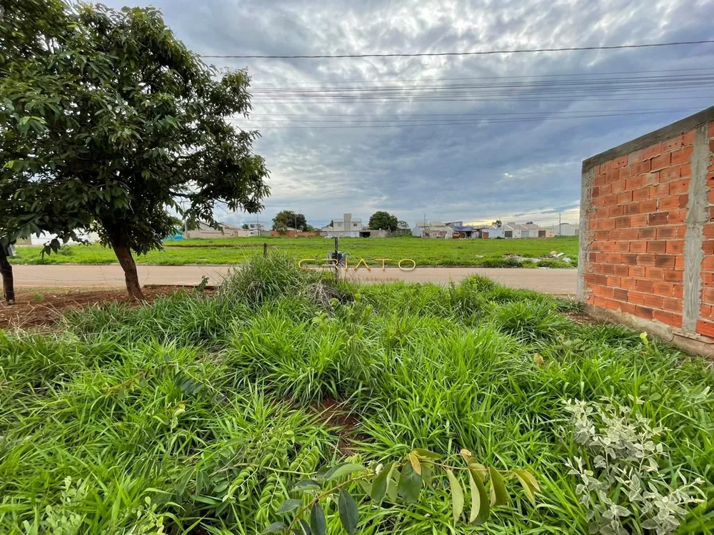 Terreno à venda, 300m² - Foto 2