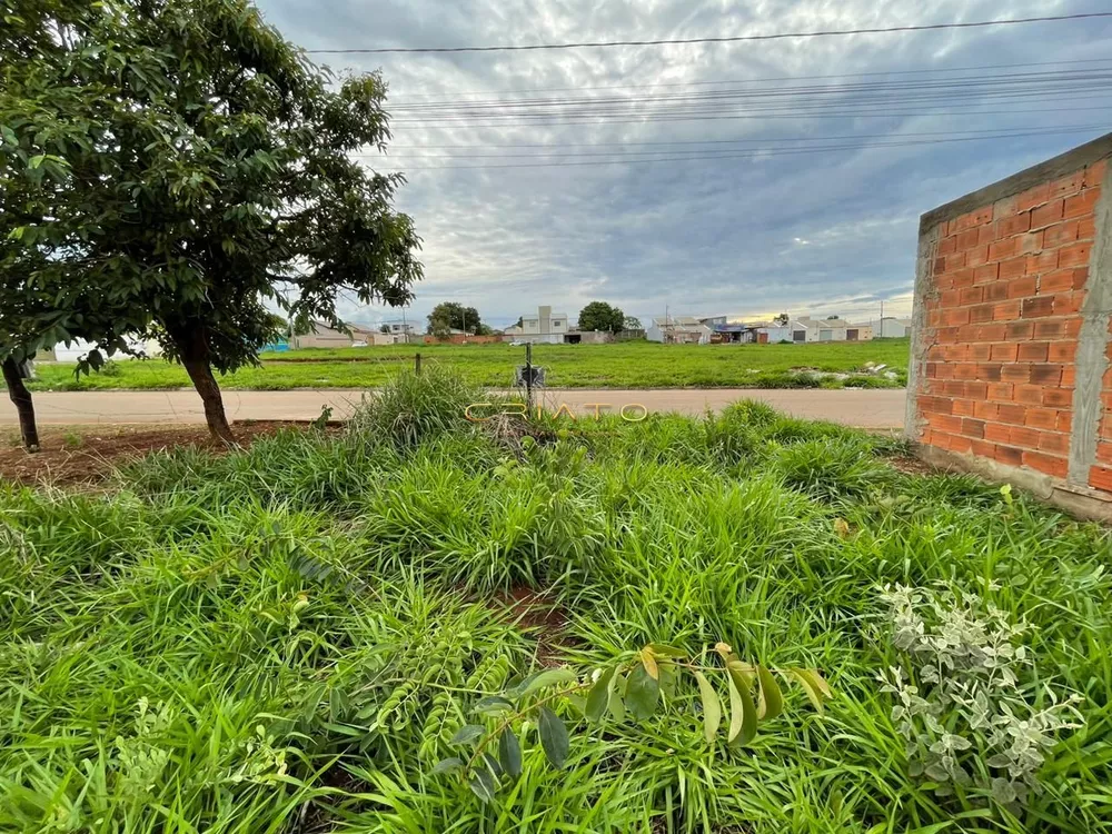 Terreno à venda, 300m² - Foto 4