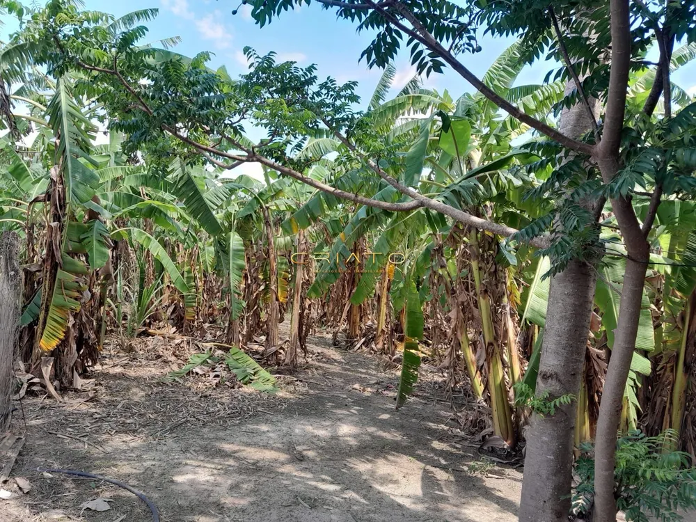 Chácara, 3 quartos, 12 hectares - Foto 6