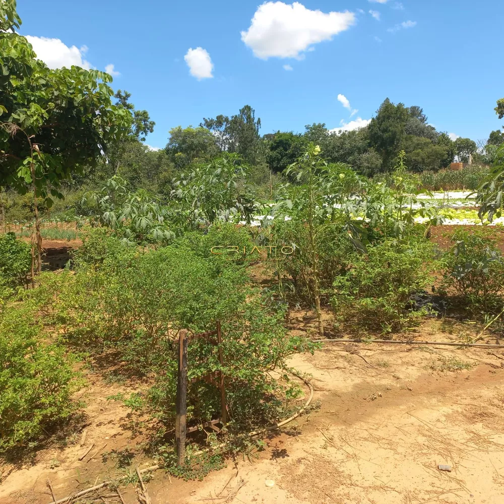 Terreno, 500 m² - Foto 3