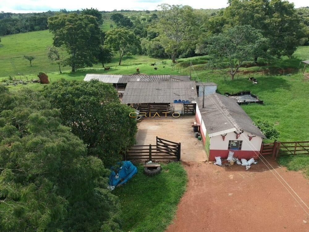 Fazenda à venda com 5 quartos, 700000m² - Foto 8