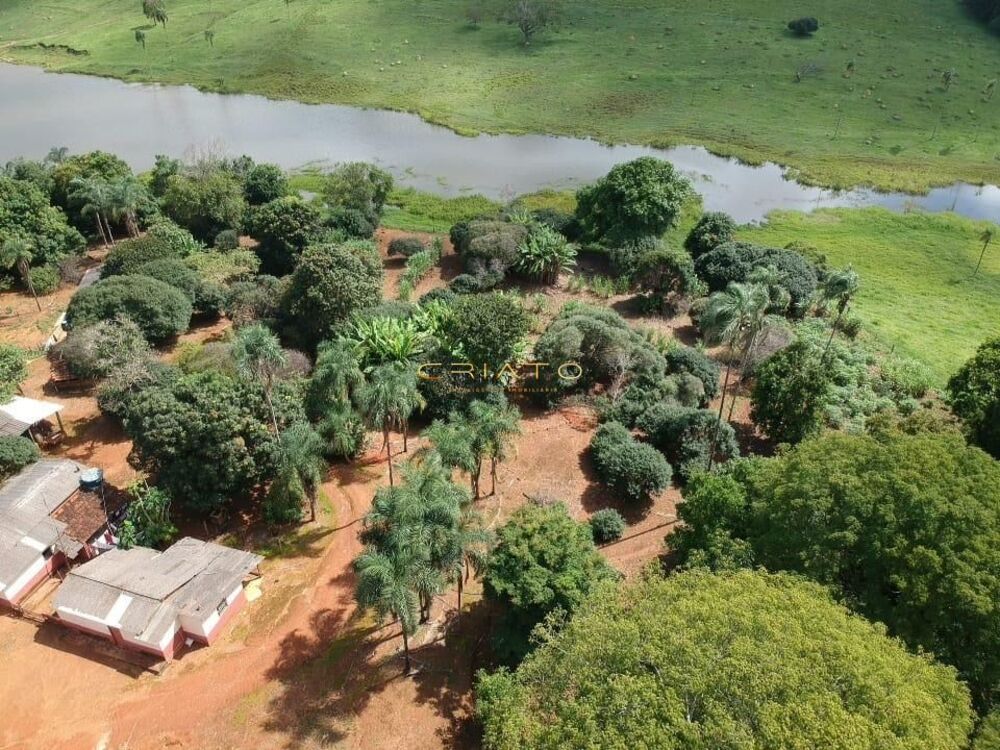 Fazenda à venda com 5 quartos, 700000m² - Foto 10