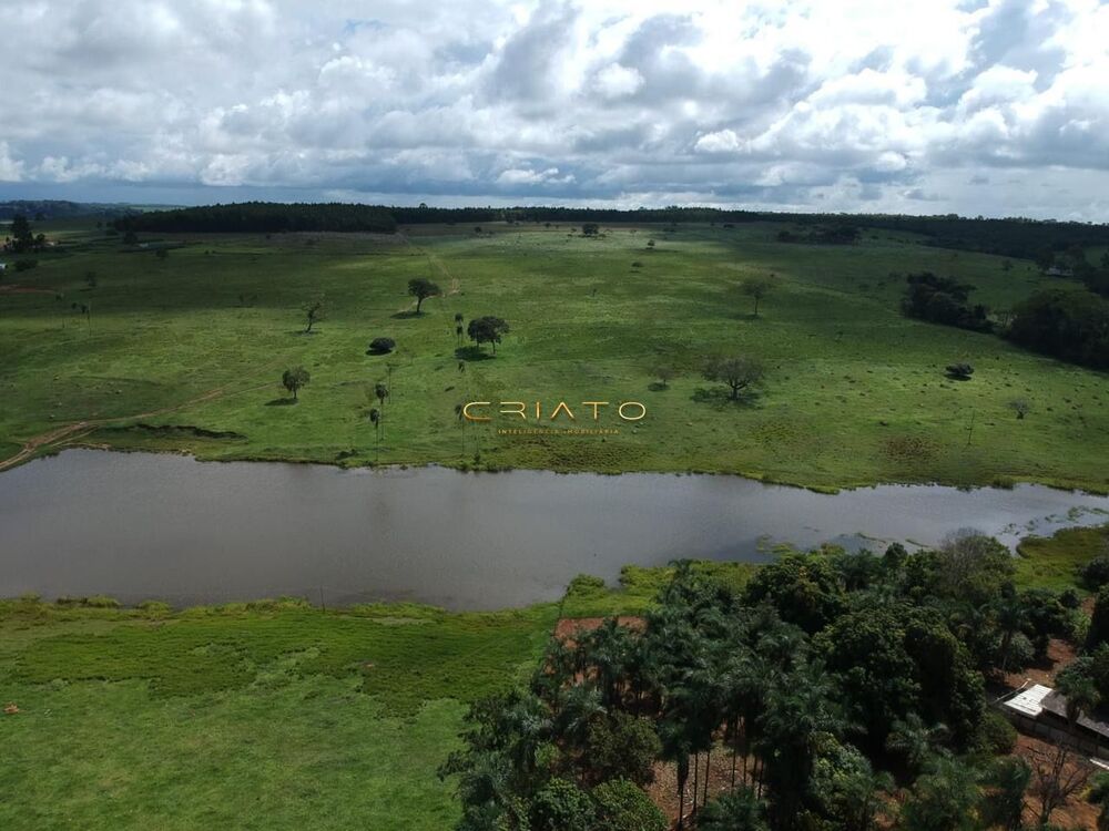 Fazenda à venda com 5 quartos, 700000m² - Foto 9