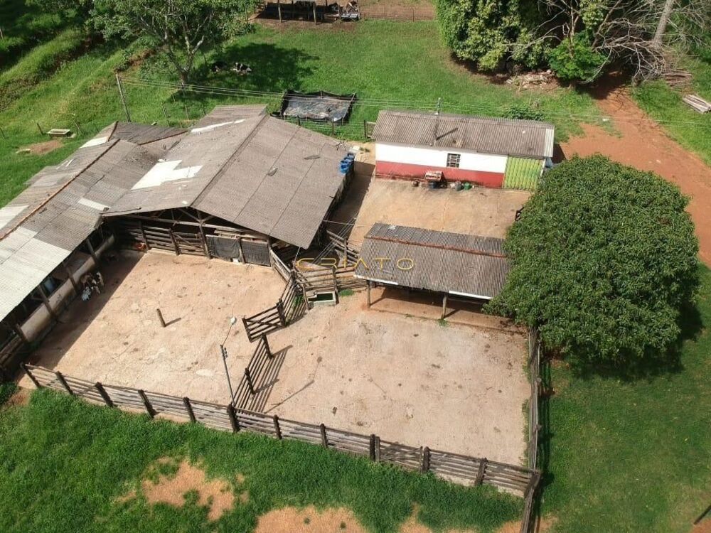Fazenda à venda com 5 quartos, 700000m² - Foto 5
