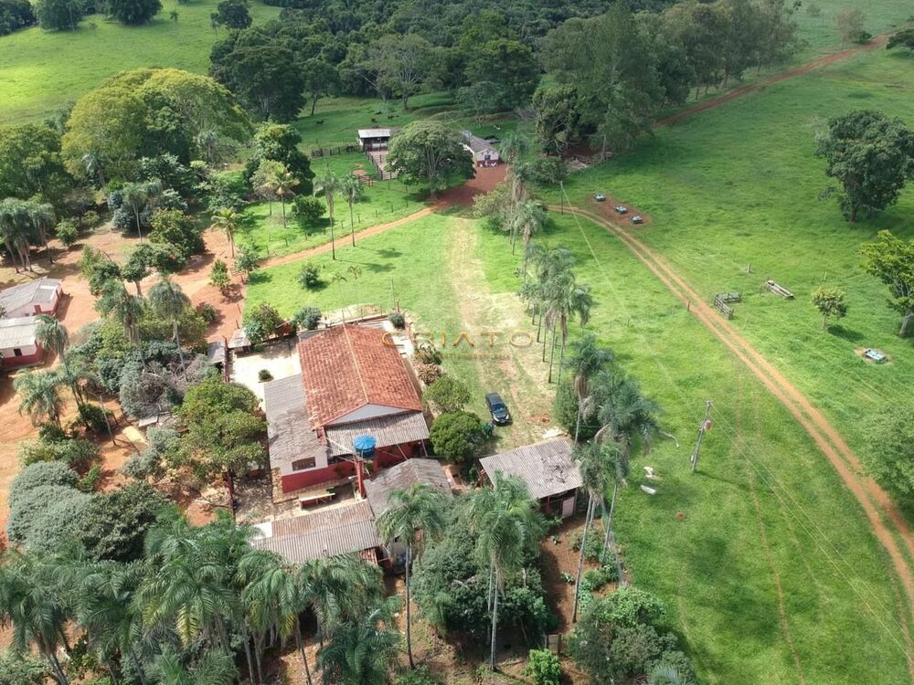 Fazenda à venda com 5 quartos, 700000m² - Foto 14