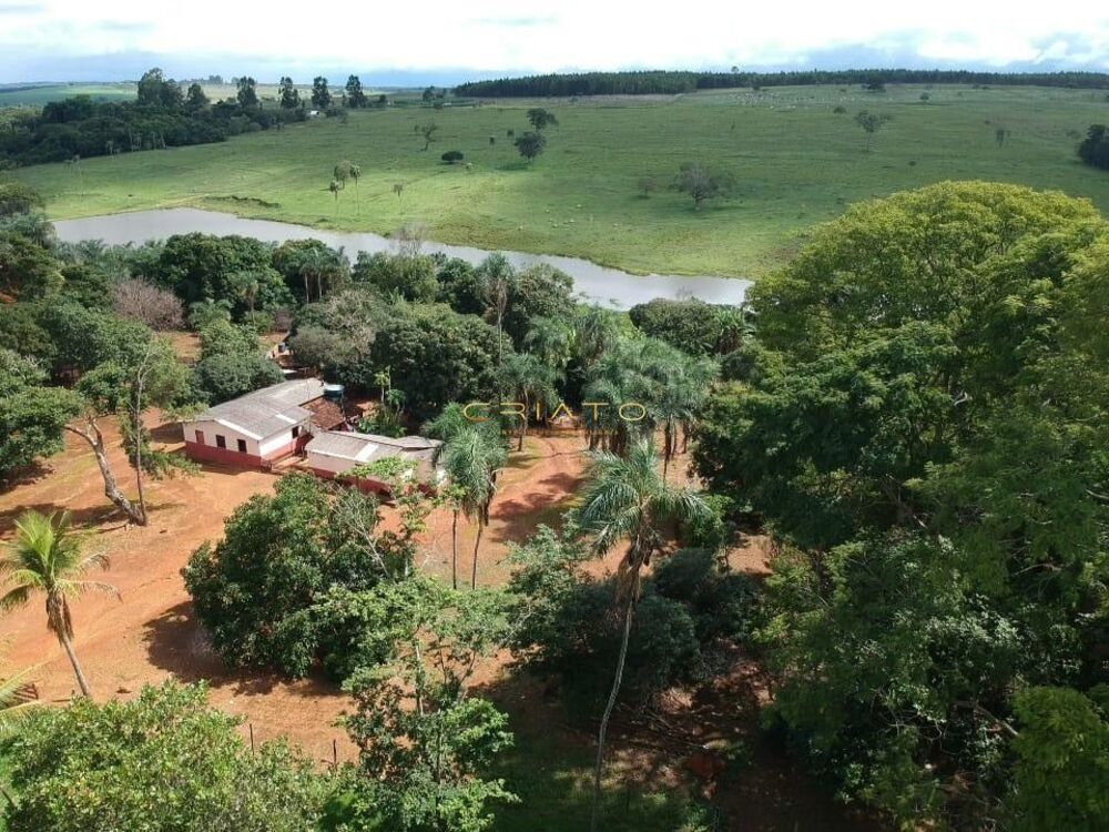 Fazenda à venda com 5 quartos, 700000m² - Foto 2