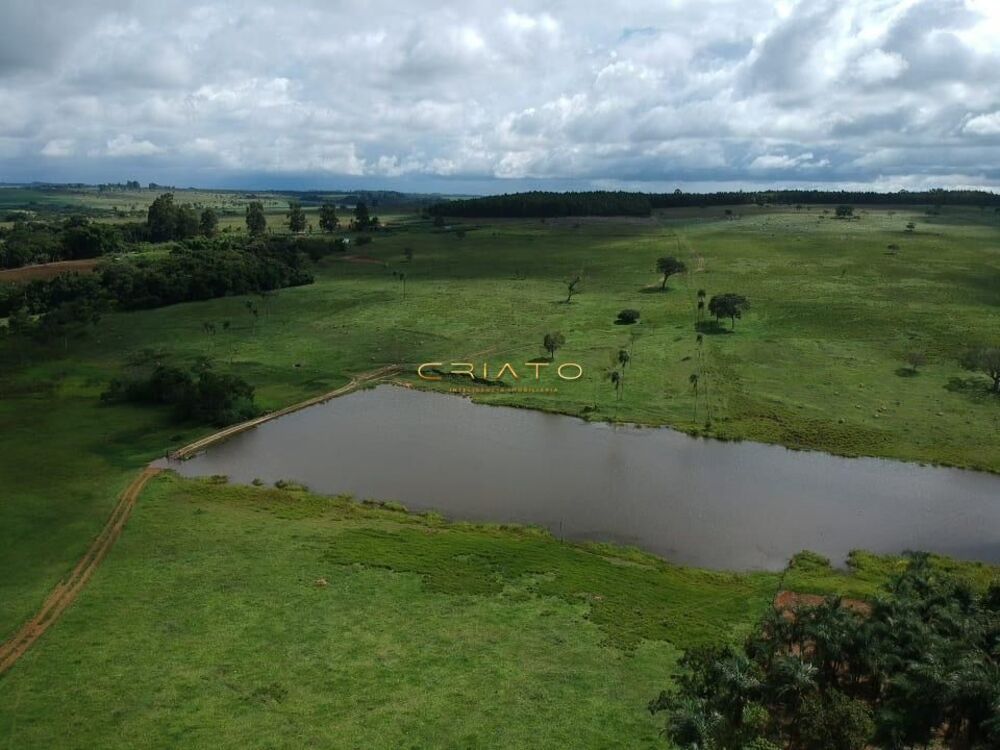 Fazenda à venda com 5 quartos, 700000m² - Foto 7