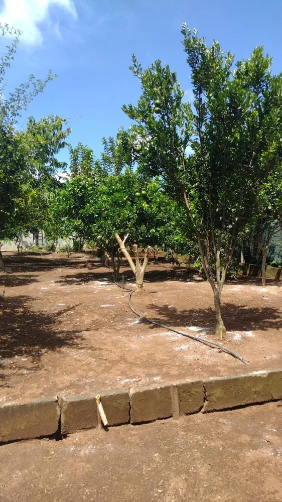 Chácara, 2 quartos, 3700 m² - Foto 8