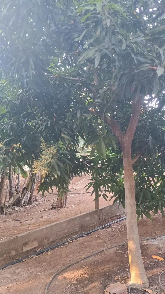 Chácara, 2 quartos, 3700 m² - Foto 20