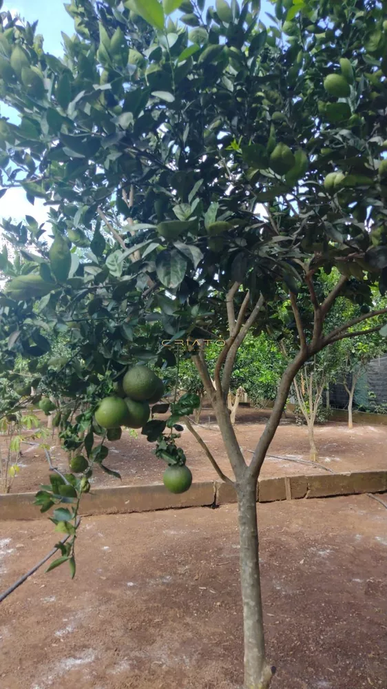 Chácara, 2 quartos, 3700 m² - Foto 5