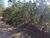 Chácara, 2 hectares - Foto 4