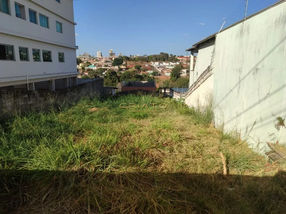 Terreno à venda, 300m² - Foto 1