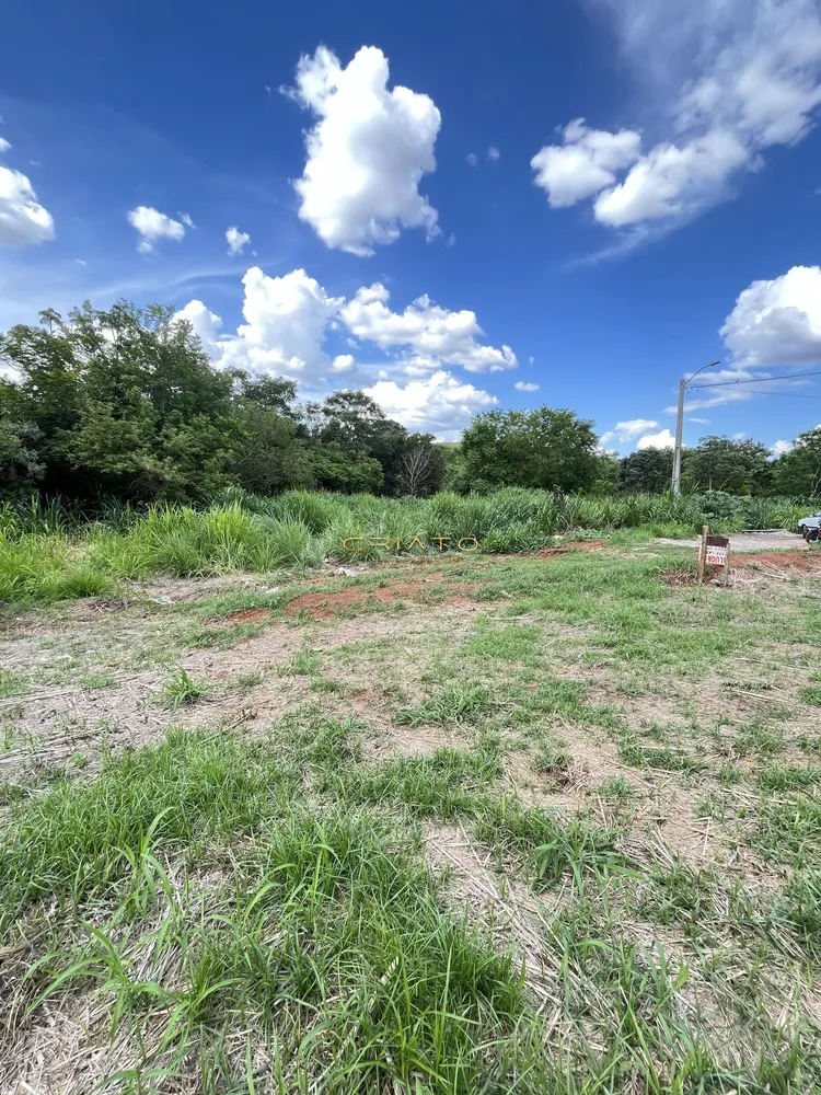 Terreno, 300 m² - Foto 5