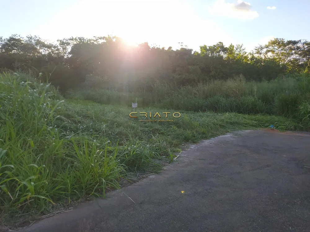 Terreno, 300 m² - Foto 3