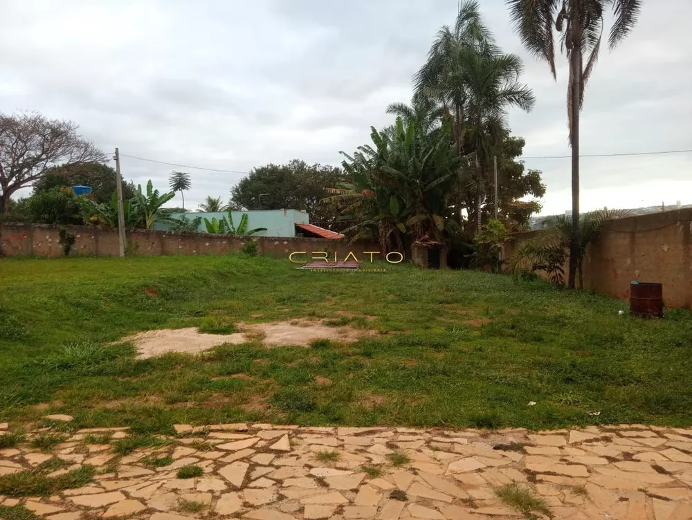 Chácara, 1 quarto, 2000 m² - Foto 6