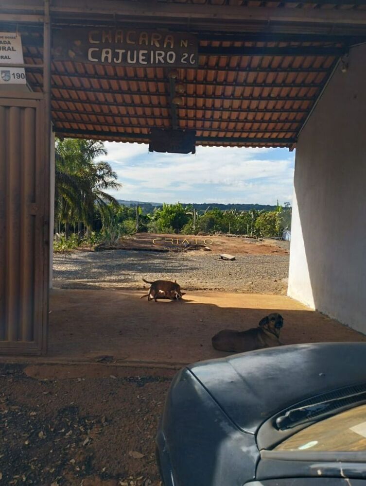 Sítio à venda com 3 quartos, 250m² - Foto 6
