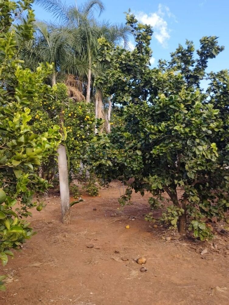 Sítio à venda com 3 quartos, 250m² - Foto 10