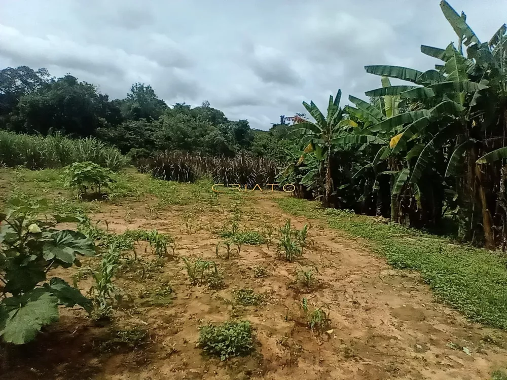 Fazenda à venda com 3 quartos, 10000m² - Foto 1