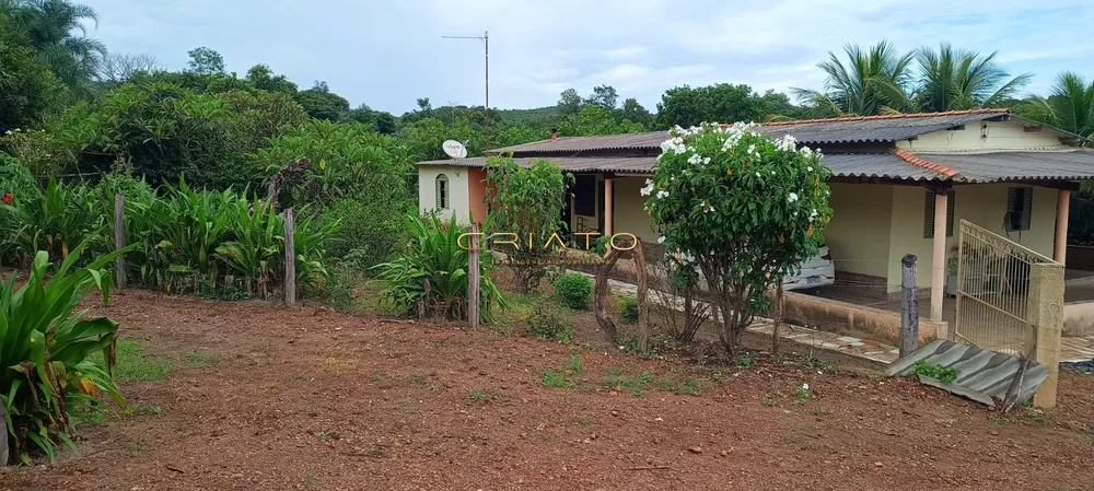 Fazenda à venda com 3 quartos, 10000m² - Foto 2