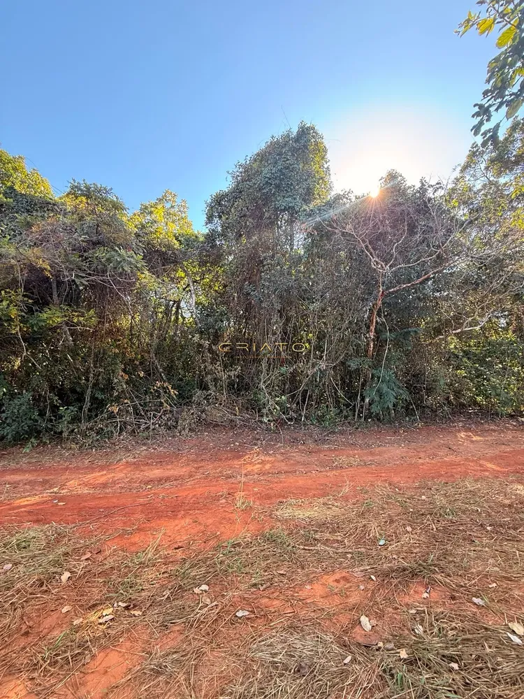 Terreno, 1200 m² - Foto 6