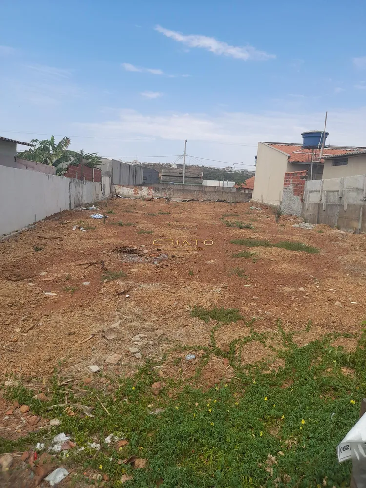 Terreno, 300 m² - Foto 4