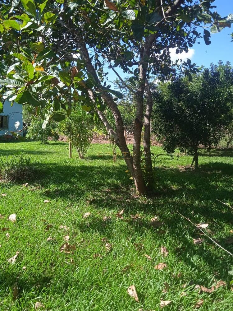 Chácara à venda com 2 quartos, 3000m² - Foto 4