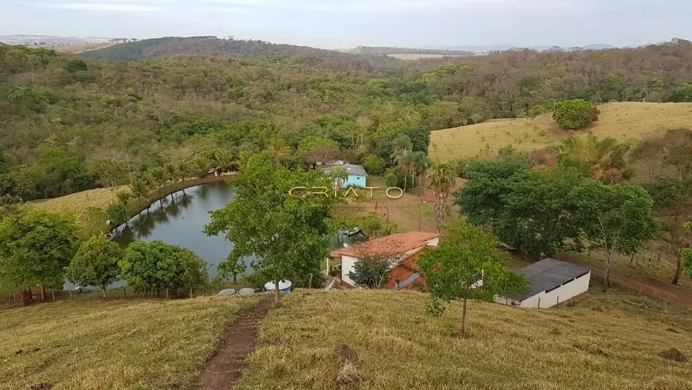 Chácara, 10 quartos, 100 hectares - Foto 14